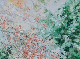 DSC 1417